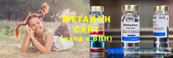 прущие грибы Аркадак