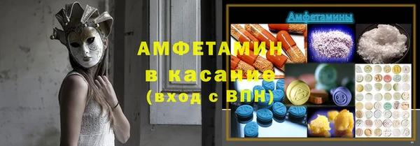 прущие грибы Аркадак