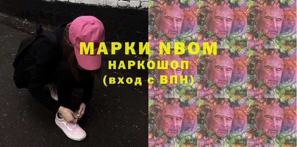 прущие грибы Аркадак