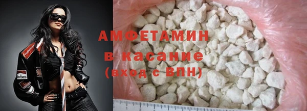 прущие грибы Аркадак