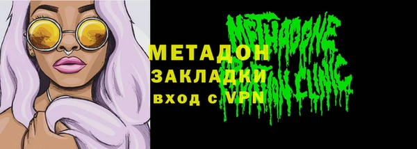 прущие грибы Аркадак