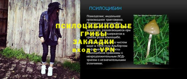 прущие грибы Аркадак