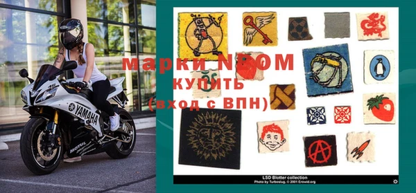 прущие грибы Аркадак
