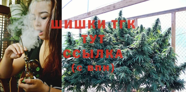 прущие грибы Аркадак