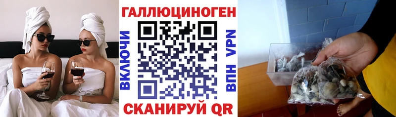 Галлюциногенные грибы прущие грибы  Медынь 